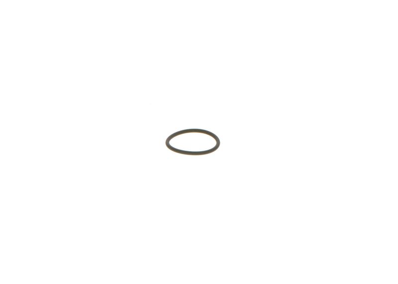 BOSCH 1928300277 Rubber Ring