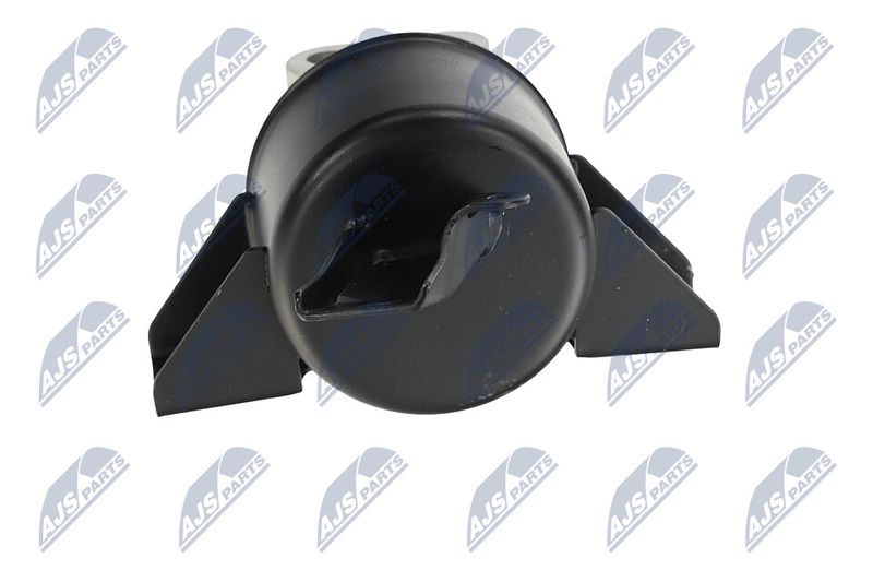 Paigutus, Mootor, NTY ZPS-DW-010