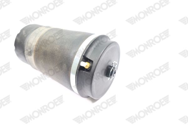 MONROE ASP038 Air Spring, suspension