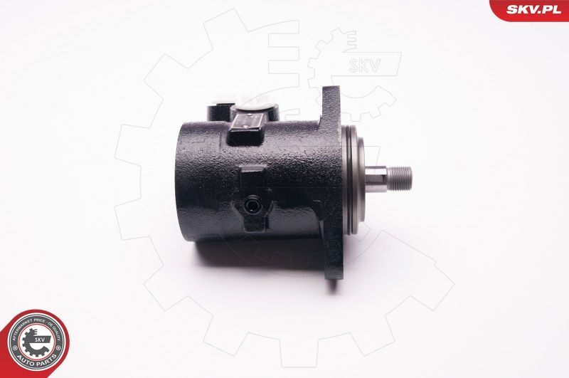 ESEN SKV 1SKV0013 Hydraulic Pump, steering