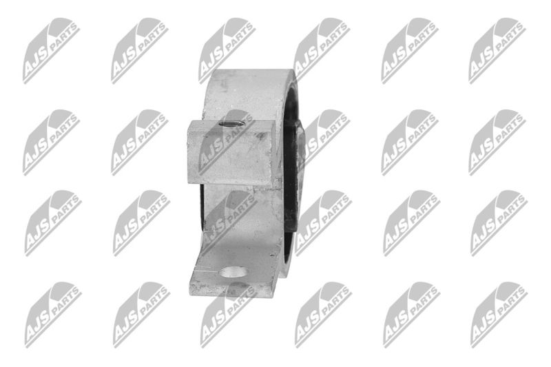 Paigutus, Mootor, NTY ZPS-FR-010