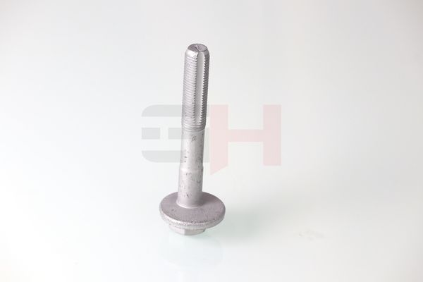 GH GH-399901 Camber Correction Screw