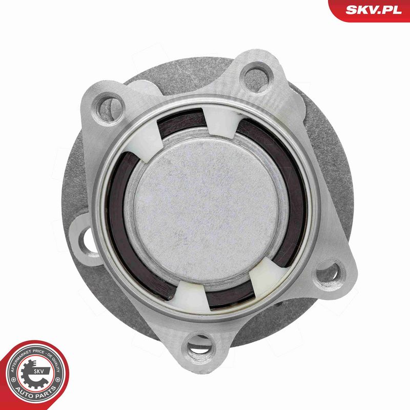 ESEN SKV 29SKV709 Wheel Bearing Kit