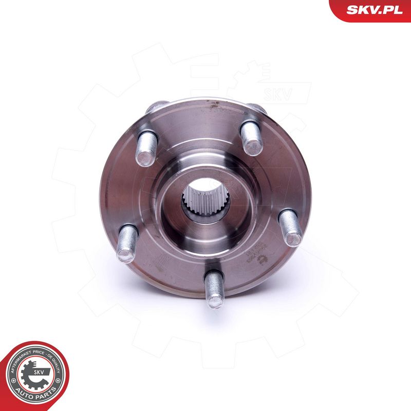 Rattalaagrikomplekt, ESEN SKV 29SKV363