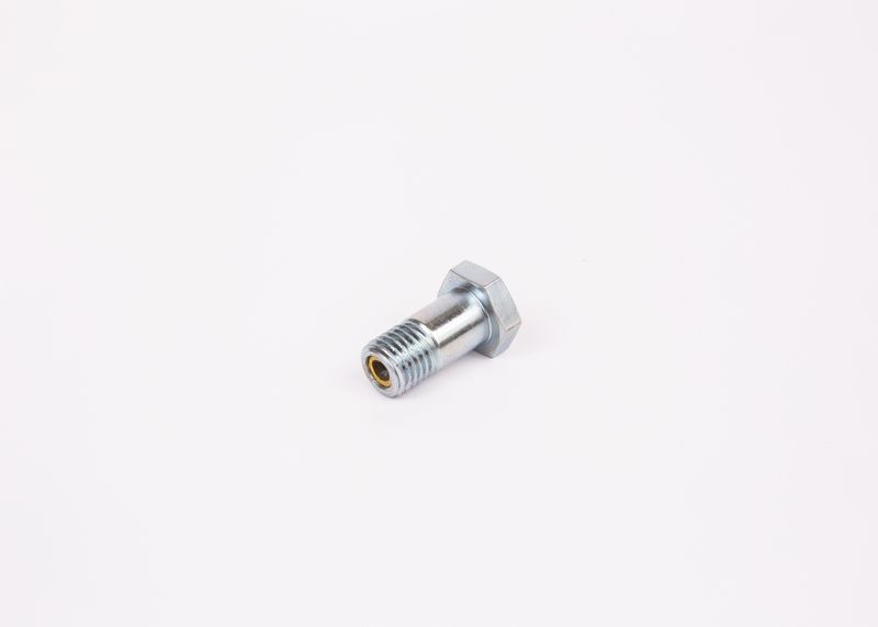 Surub 1 463 456 344 BOSCH