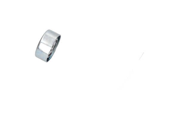 Kavo Parts DTP-9045 Poli-V diržo įtempimo skriemulys