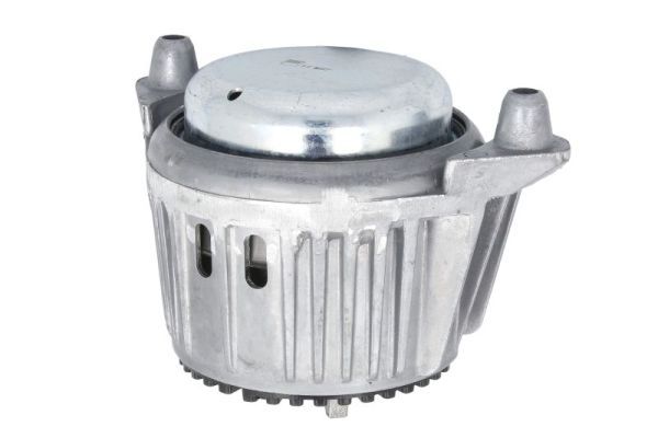 REINHOCH RH11-3118 Mounting, engine