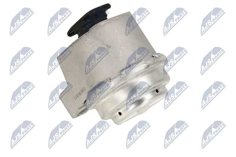 Paigutus, Mootor, NTY ZPS-FR-017