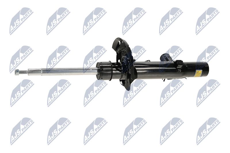 Amort, NTY A-LR-033