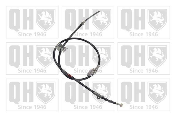QH_BC3218.JPG