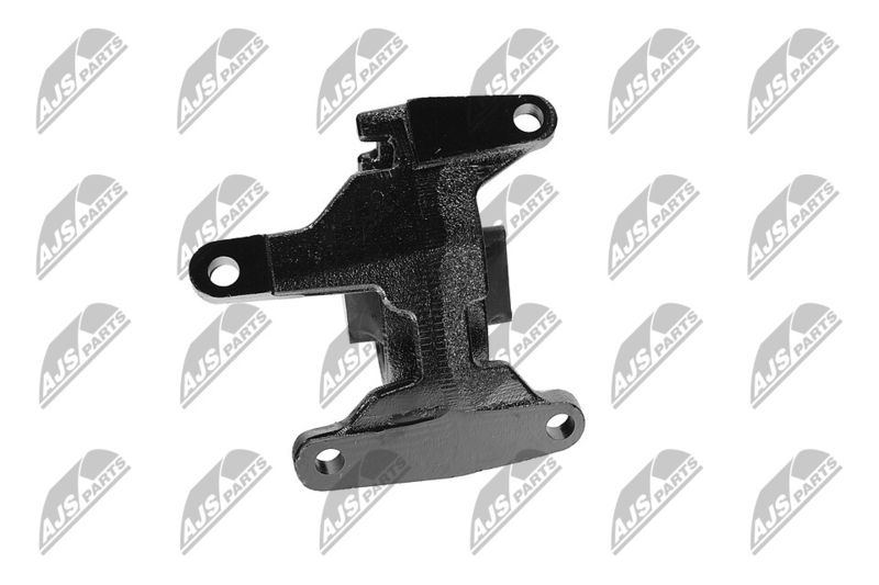 Paigutus, Mootor, NTY ZPS-CH-087