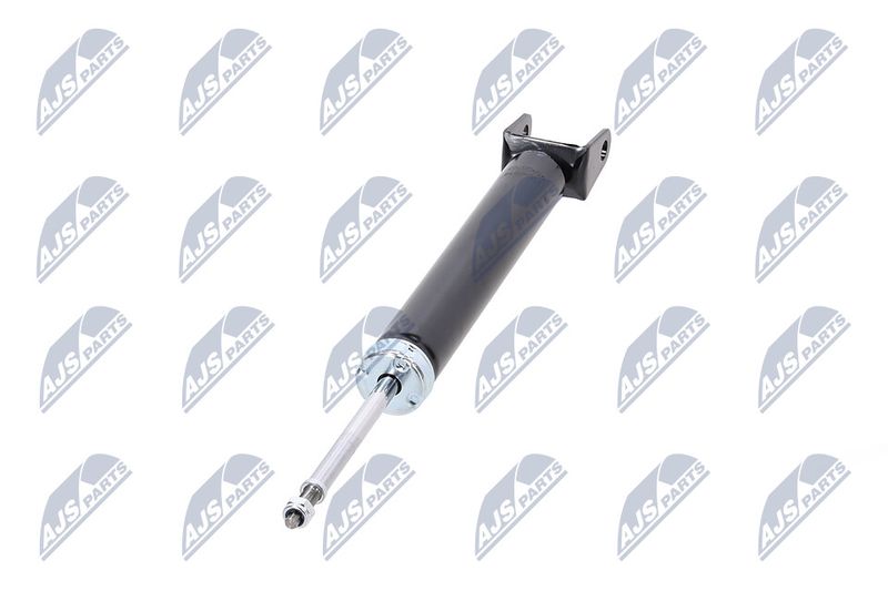 Amort, NTY A-CH-078