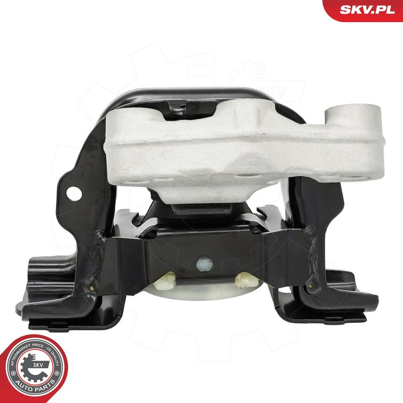 Paigutus, Mootor, ESEN SKV 75SKV017