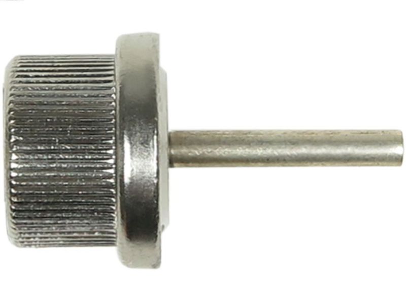 257460.JPG