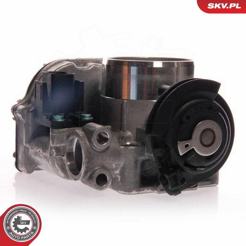 ESEN SKV 12SKV019 Throttle Body