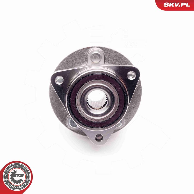 ESEN SKV 29SKV124 Wheel Bearing Kit