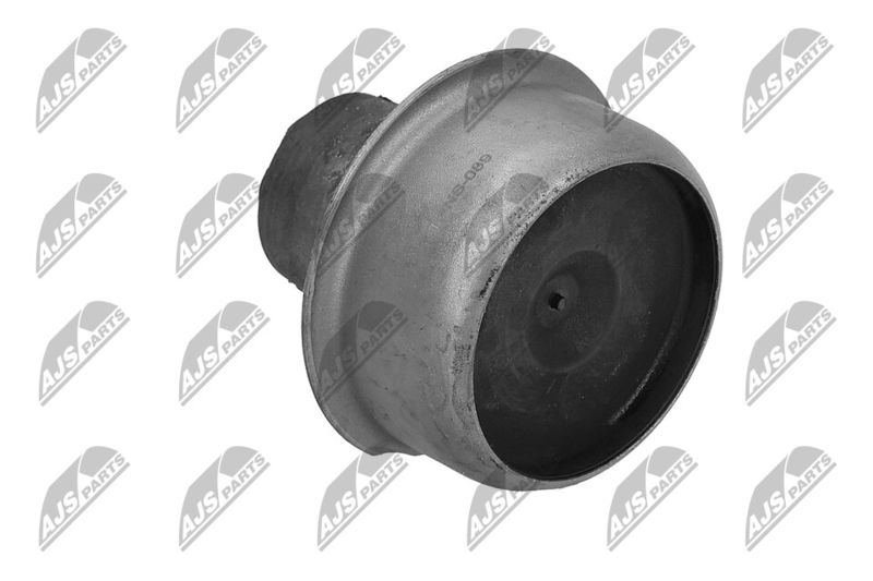 Paigutus, Mootor, NTY ZPS-NS-089