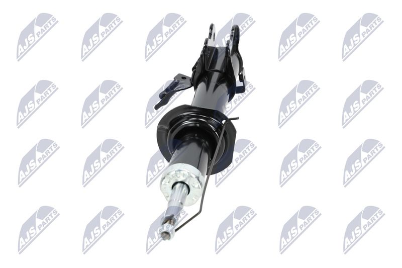 Amort, NTY A-NS-009