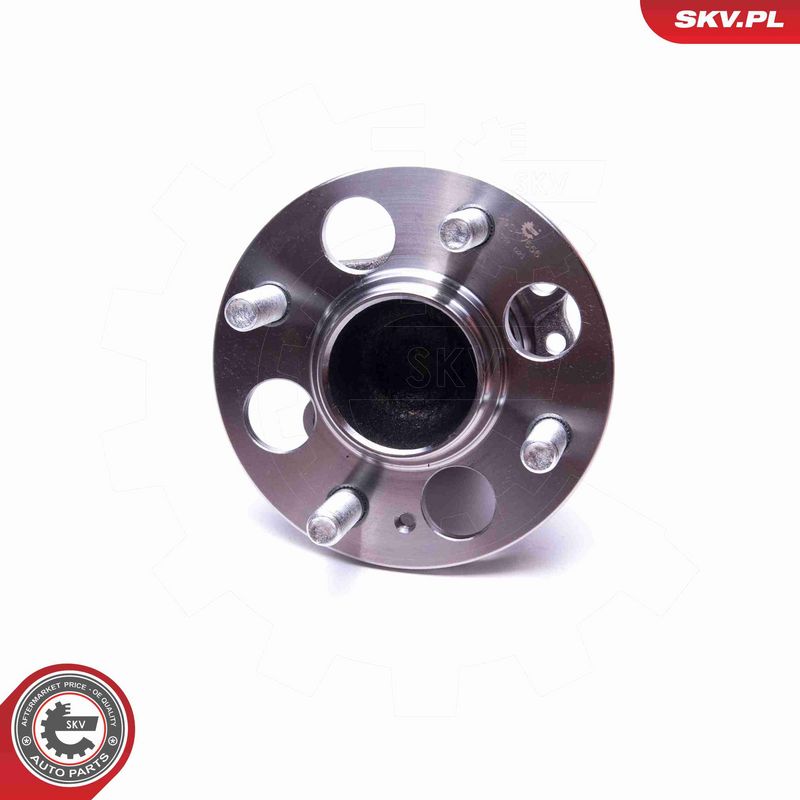 ESEN SKV 29SKV556 Wheel Bearing Kit