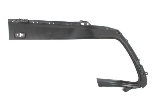 BLIC 5703-05-2003974P Trim/Protection Strip, bumper
