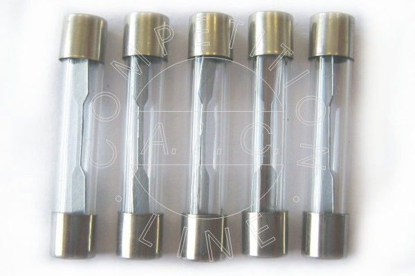 AIC 52138 - Saugiklis