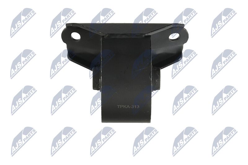 Paigutus, Mootor, NTY ZPS-KA-313