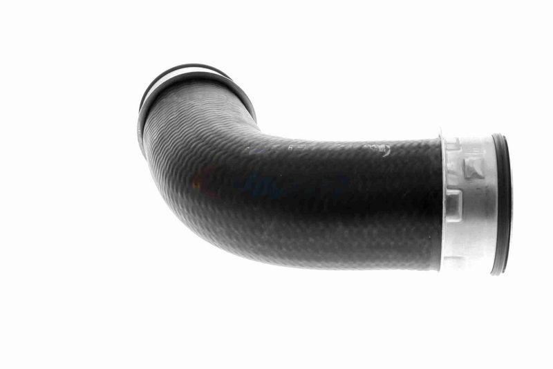 VAICO V10-3801 Charge Air Hose