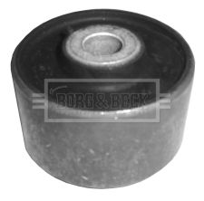 BEM3078_209937.JPG