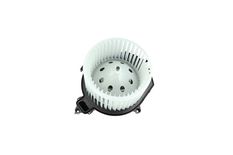 Salongipuhur, NRF 34249