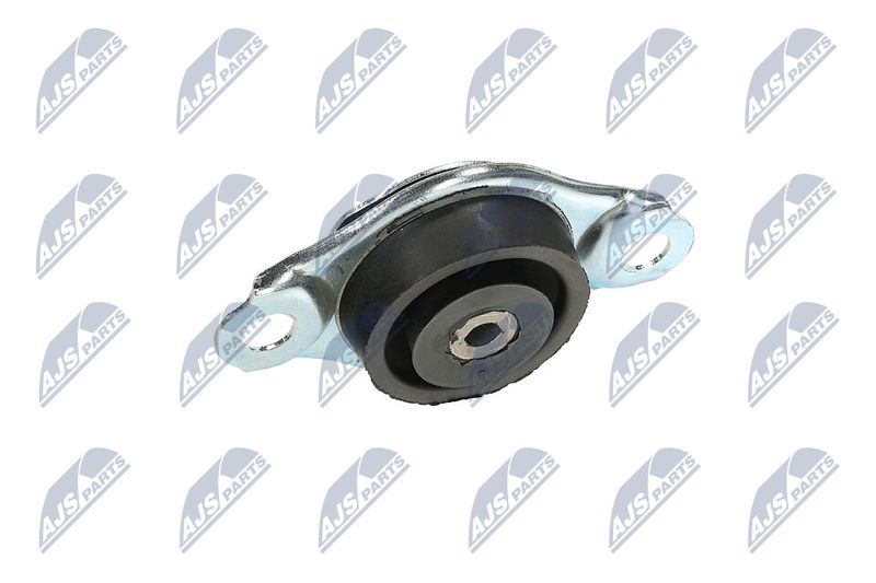 Paigutus, Mootor, NTY ZPS-FT-005