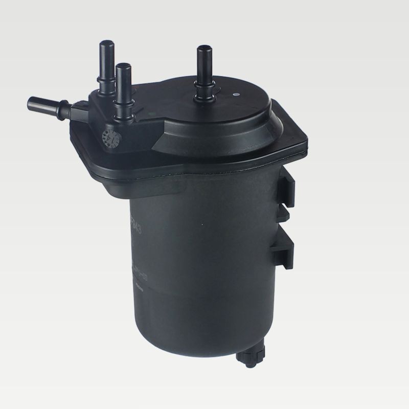 DELPHI HDF943 Fuel Filter