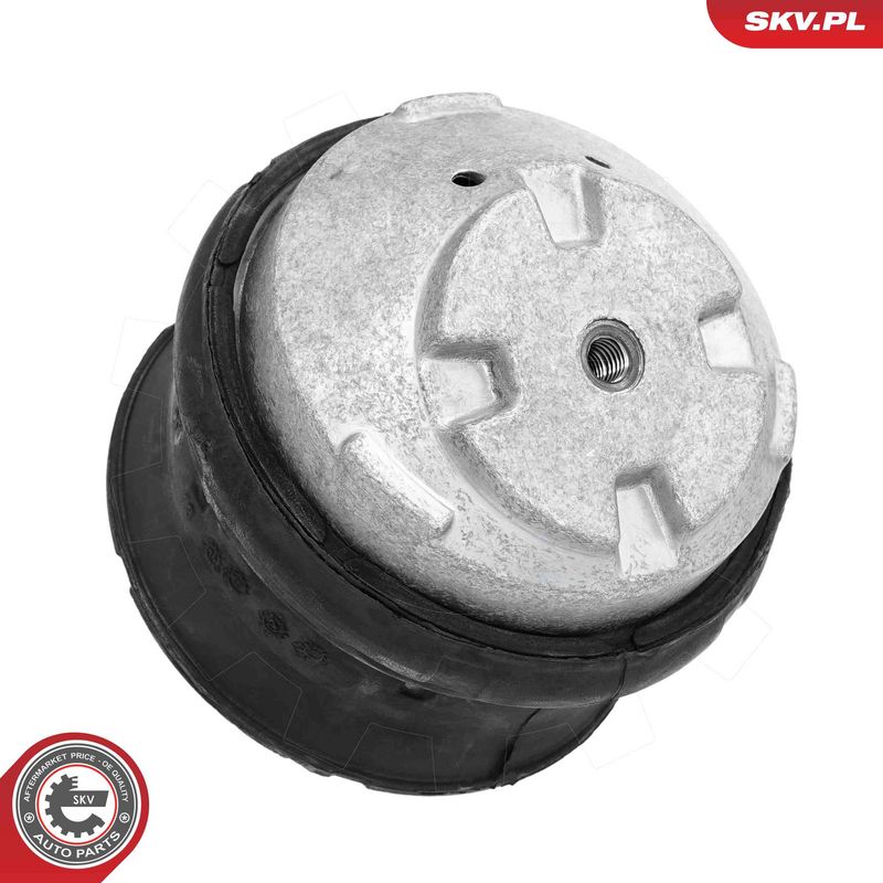 Paigutus, Mootor, ESEN SKV 75SKV132