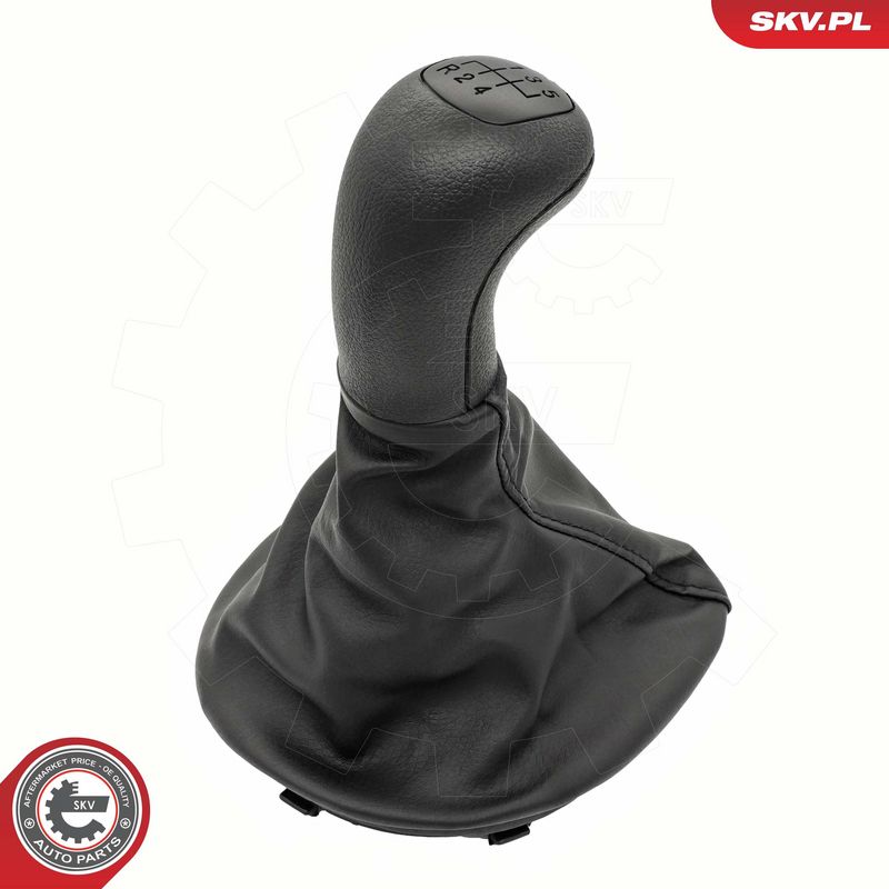 Käigukanginupp, ESEN SKV...