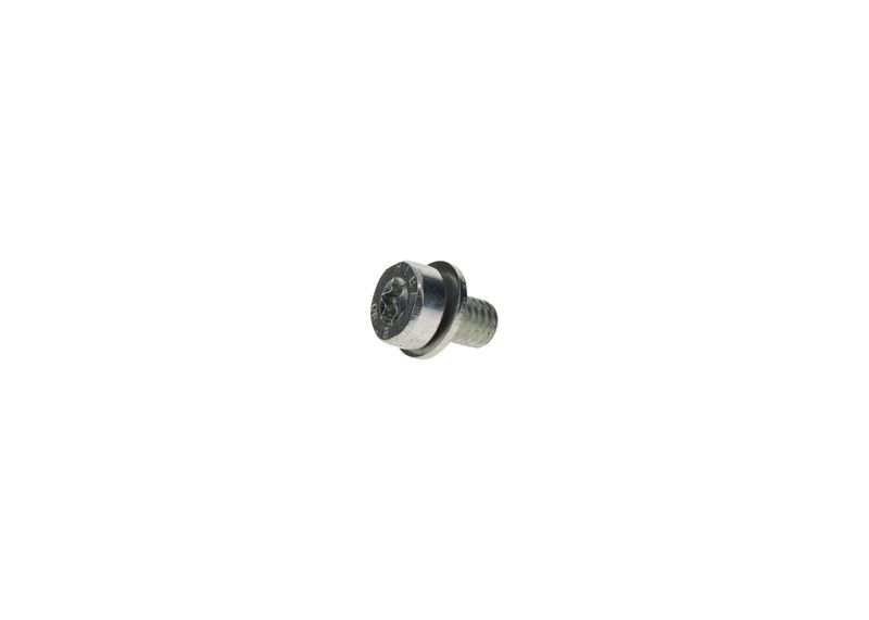 BOSCH F002D13663 Screw
