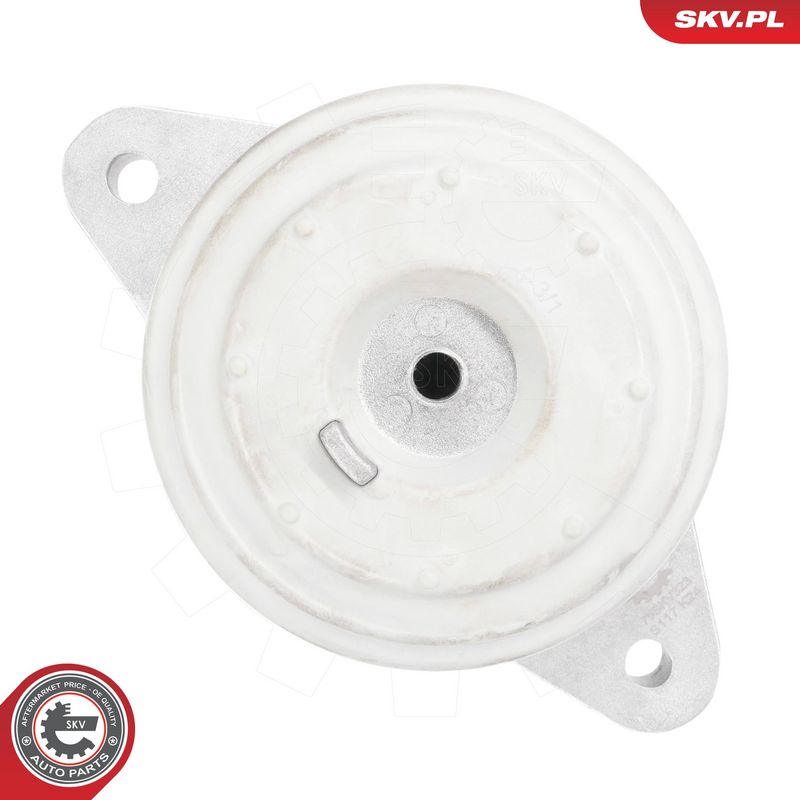 Paigutus, Mootor, ESEN SKV 75SKV323