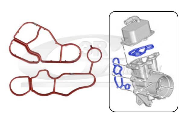 SET GARNITURI RADIATOR ULEI 3RG 76202