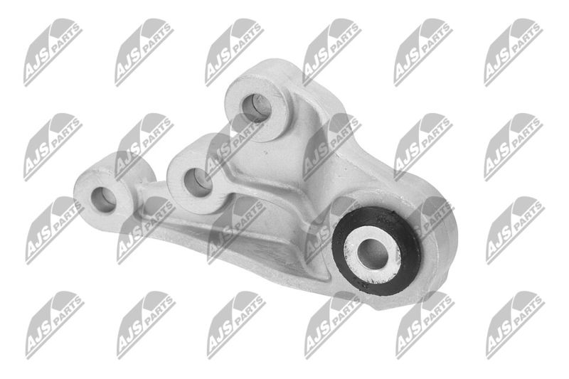 Paigutus, Mootor, NTY ZPS-CH-123