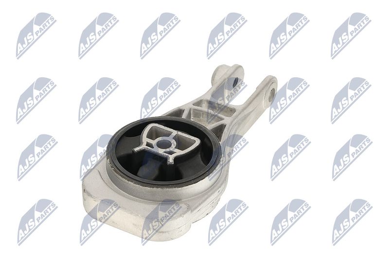 Paigutus, Mootor, NTY ZPS-PL-079
