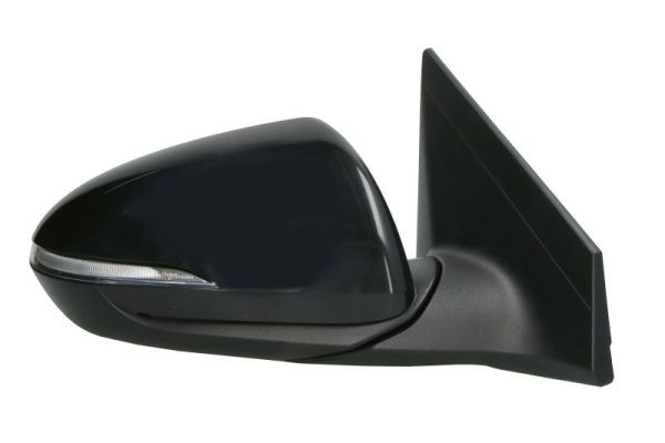 BLIC 5402-20-1729315P Exterior Mirror