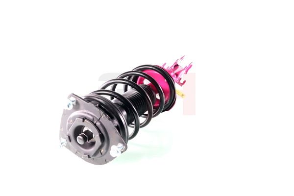 Vedruamort, GH GH-352298C01