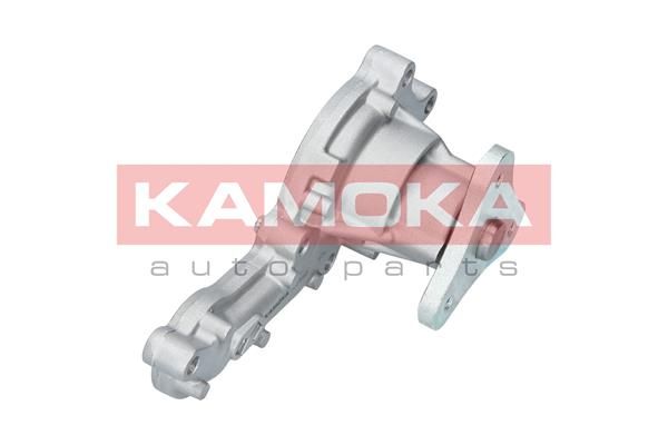KAMOKA T0150 Water Pump, engine cooling