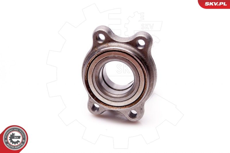 ESEN SKV 29SKV095 Wheel Bearing Kit