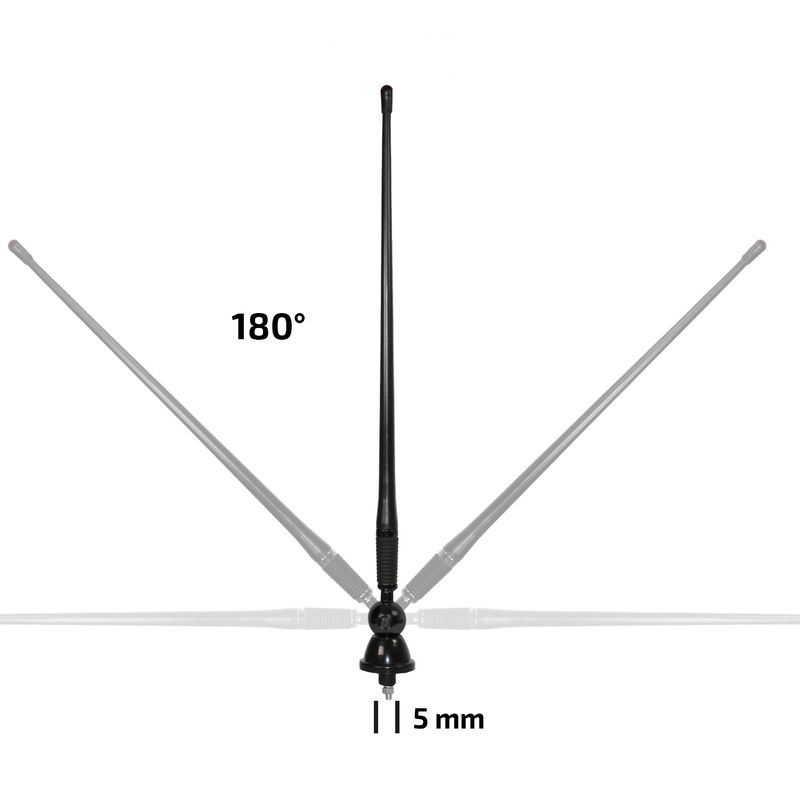 540030_D2.JPG