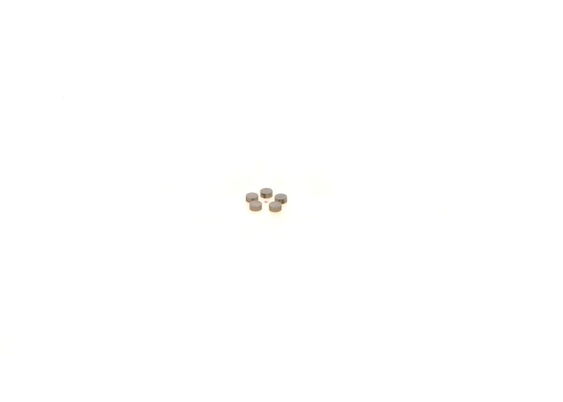 BOSCH 1410067231 Washer