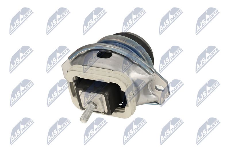 Paigutus, Mootor, NTY ZPS-LR-019