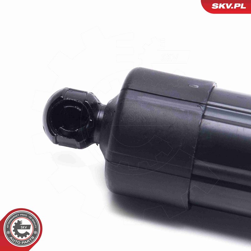 ESEN SKV 52SKV961 Electric Motor, tailgate