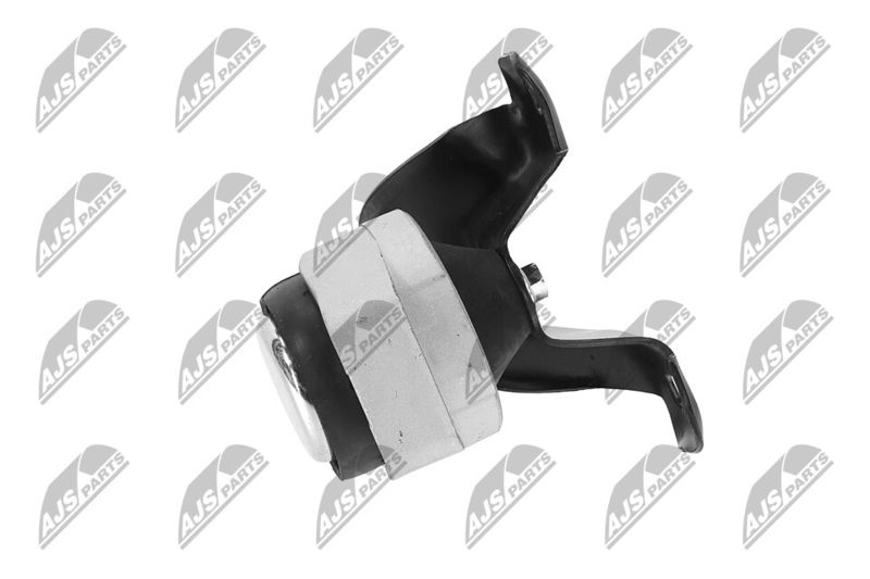 Paigutus, Mootor, NTY ZPS-FR-011