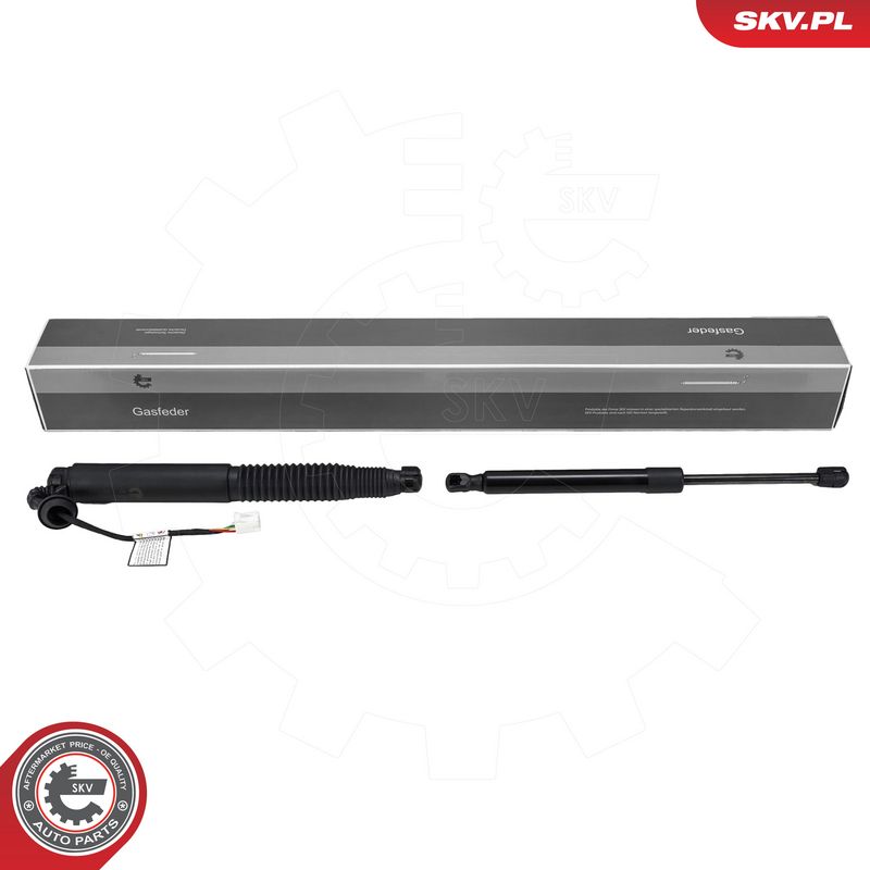 Elektrimootor, tagaluuk, ESEN SKV 52SKV244