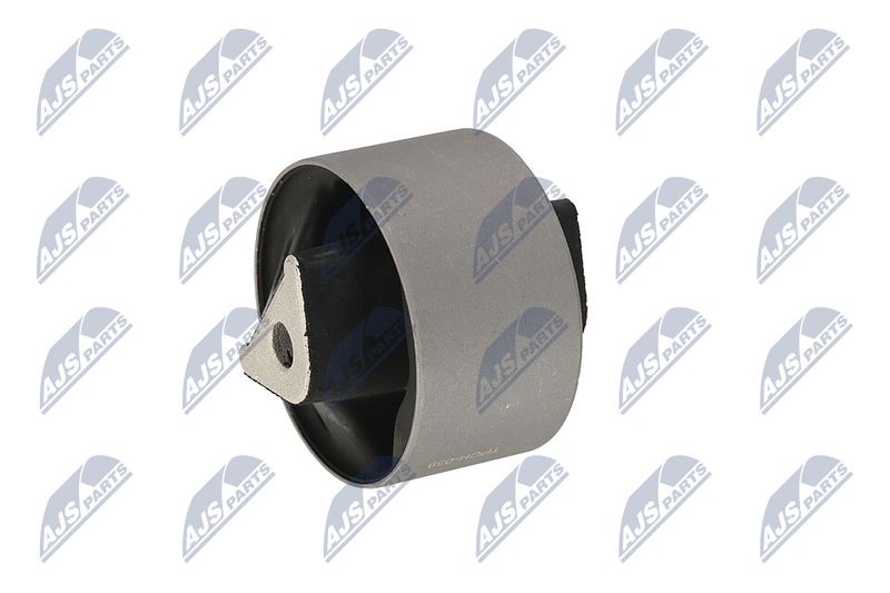 Paigutus, Mootor, NTY ZPS-CH-039