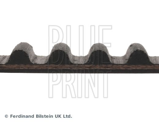 BLUE PRINT ADH27517 Timing Belt